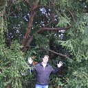 ���� �������, ������, 53 ���� - ��������� 7 ������� 2015 � ������ ���� ����������