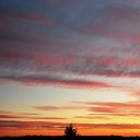 ���� �����, �����, 64 ���� - ��������� 12 ������� 2015 � ������ �"��������" �������� (1.10.2015)�