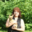 ���� ����, ������, 51 ��� - ��������� 23 ������ 2015