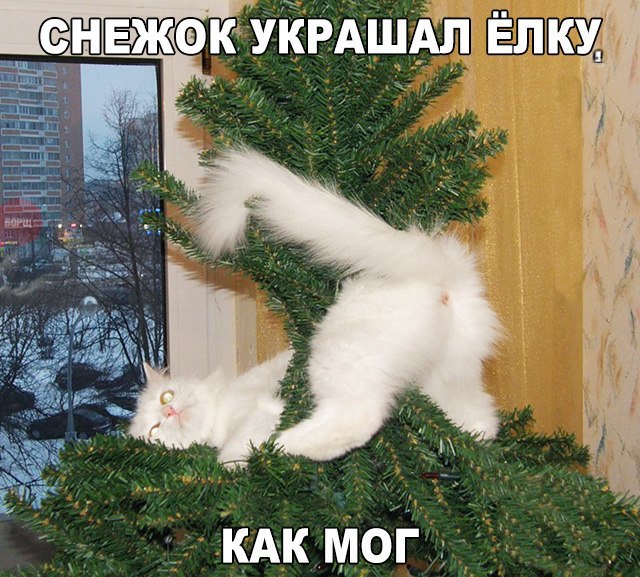    :-) - 2  2016  14:35
