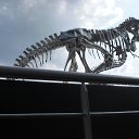  , -, 59  -  21  2016   