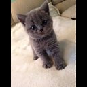 ���� ������, �����-���������, 70 ��� - ��������� 4 ������ 2015 � ������ ����� �����