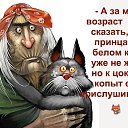 ���� ������ �����, �����������, 66 ��� - ��������� 20 ������� 2016 � ������ ������ ��������