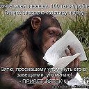 ���� Viktor, ����� - ��������� 29 ������� 2015 � ������ ������ ��������