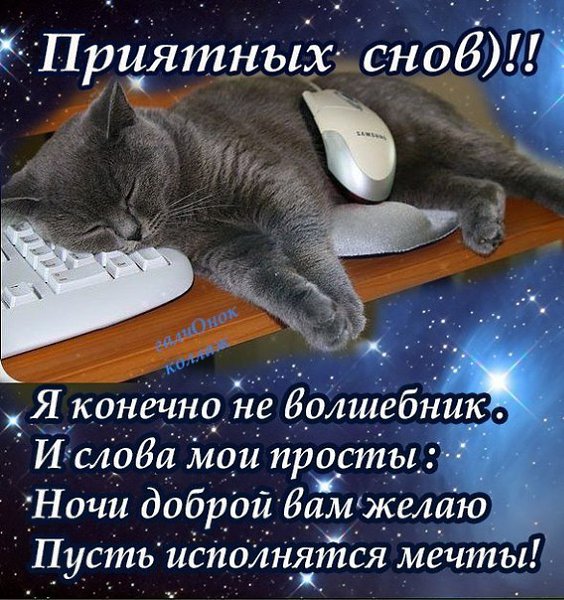 СПОКОЙНОЙ НОЧИ, ДРУЗЬЯ! ПРЕКРАСНОГО ОТДЫХА!!!! И сон тихонько под реснички проникает. О чем он ...