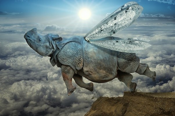        (John Wilhelm) - 2