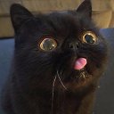 ���� ���������, ���������, 38 ��� - ��������� 24 ������ 2016 � ������ ���� ����������