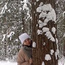 ���� �����, �������� - ��������� 8 ������ 2015