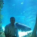 ���� �������, ������, 51 ��� - ��������� 20 ������ 2015 � ������ ����������� 11.11.15�