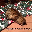 ���� ~Voln@~, ��������� - ��������� 15 ������ 2016 � ������ ������ ��������