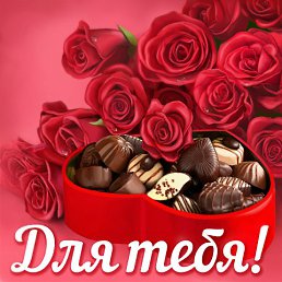 ���� �����, ���������� - ��������� 2 ������� 2016