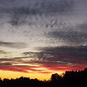 ���� �����, �����, 64 ���� - ��������� 12 ������� 2015 � ������ �"��������" �������� (1.10.2015)�