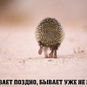 ���� ����, ����������� - ��������� 17 ������� 2016 � ������ ������ ��������