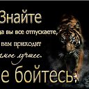 ���� ***����***, ��������� - ��������� 15 ������ 2015 � ������ ������ �������ɻ