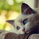 ���� �������, ������� - ��������� 10 ������ 2016 � ������ ���� ����������