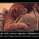 ���� Dan, ������, 52 ���� - ��������� 22 ������ 2015 � ������ ������ ��������