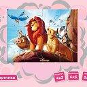 ���� ����, ������, 41 ��� - ��������� 3 ������� 2016 � ������ ������ ��������