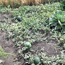 ���������� �� ������� ���� ����������