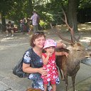 ���� �������, ����, 62 ���� - ��������� 24 ������� 2015 � ������ ���� ����������