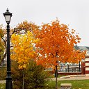 ���� �����, �����, 64 ���� - ��������� 9 ������ 2015 � ������ ��������� ����. 25.10.2015�