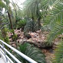  Naduha,  -  14  2016    