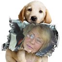  ,  -  9  2015     ....  ....