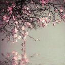 ���� ��������� ���������, ��������� - ��������� 23 ������� 2016 � ������ ���� ����������