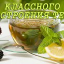 ���� �����, ���������, 39 ��� - ��������� 14 ������ 2016 � ������ �������� ��������