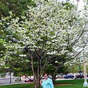 ���� Larisa, ���������, 74 ���� - ��������� 28 ������� 2016 � ������ ���� ����������