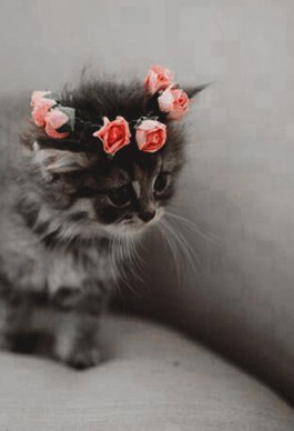   :) - 3