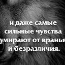 ���� Anett, �����-��������� - ��������� 9 ������ 2016 � ������ ������ ��������