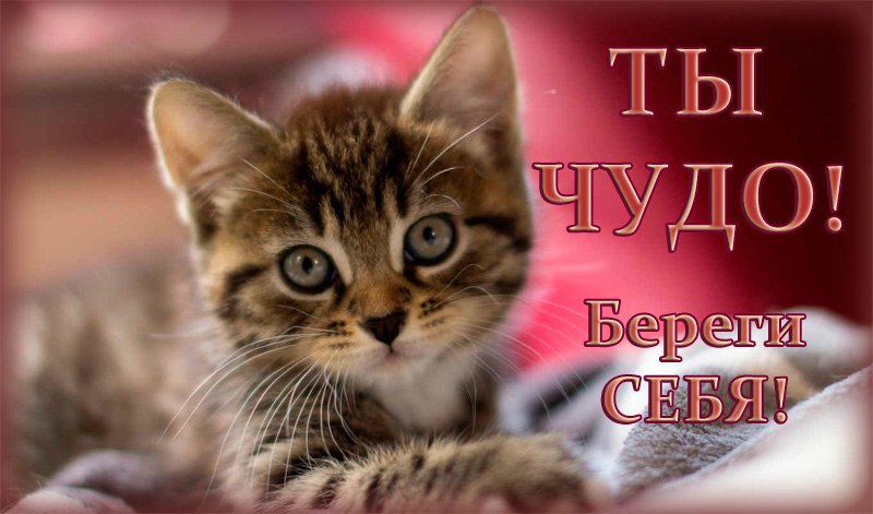 Давным-давно Господь принял решение – очень важное решение….Он задумал создать тебя.Те руки, что ...