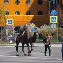 ���� ������, �����-���������, 70 ��� - ��������� 4 ������� 2015 � ������ ��� ������ �������� � �����-����������