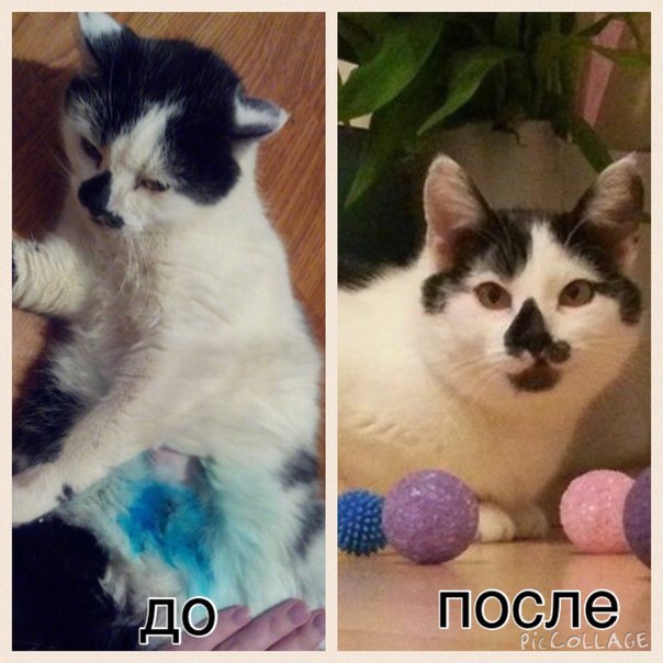  ""  ""    -.  ... - 2