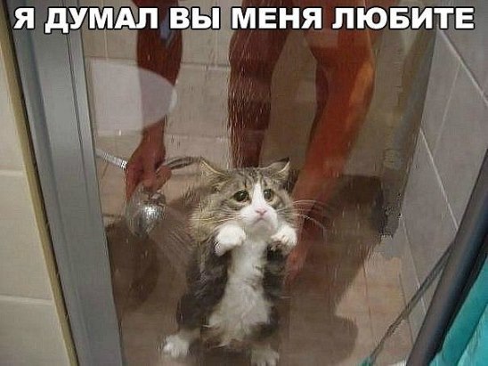 Ivan Karataev - 30  2015  14:46