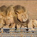 ���� ������, ������, 46 ��� - ��������� 27 ������� 2015 � ������ ���� ����������