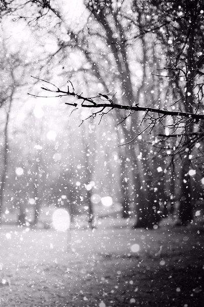 ...����� ��� ���� �������� ��� � ������� - 4