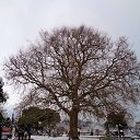  , , 60  -  29  2016     ,23.01.16.