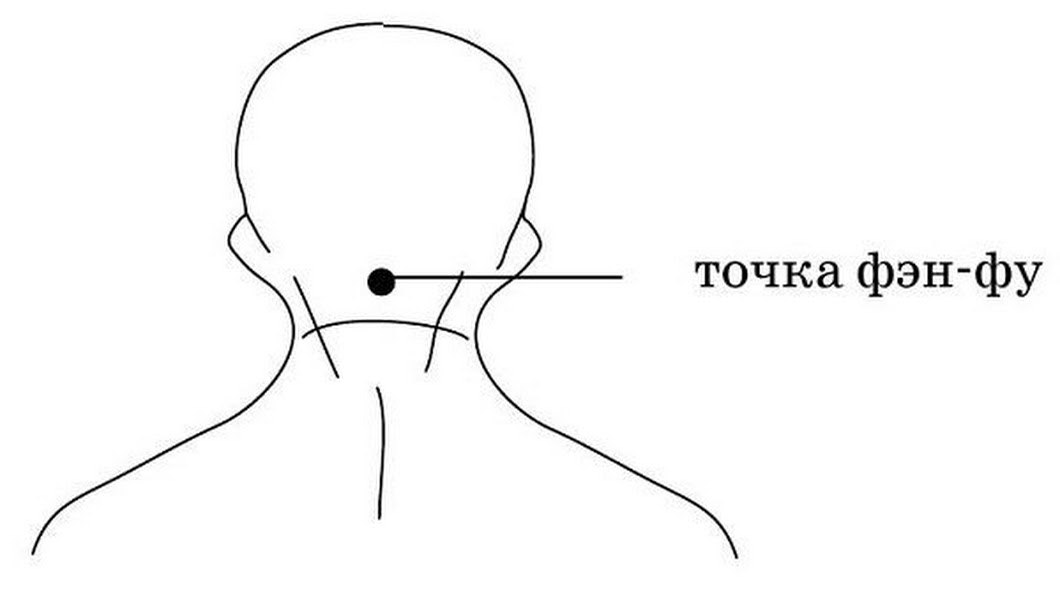 Точка ветра. Точка VG 16 фэн фу. Акупунктурная точка «фэн-фу». Точка фэн-фу расположение. Точки фэн фу и фэн чи.