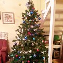 ���� ������, ���������, 45 ��� - ��������� 8 ������ 2016 � ������ ���� ����������