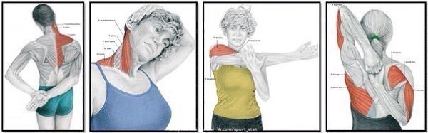 ����� ����� �������� � ��� ��������� �������������? �� �������� ��� ������������ ���������! ... - 9