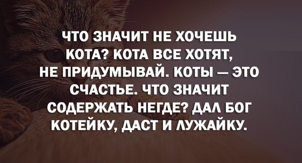       - 20  2016  23:08