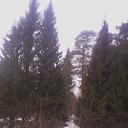 ���� ������, ������ - ��������� 20 ������ 2016 � ������ ������������ ������ " ���������"�