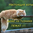 , - -  25  2016   Ż