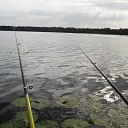 ���� �������, ��������, 66 ��� - ��������� 29 �������� 2015 � ������ ������ ��������