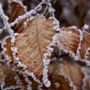  ••,  -  15  2015   