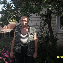 ������, ��������, 66 ���