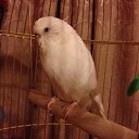 ���� ���, ������, 33 ���� - ��������� 23 ������ 2016 � ������ ������ ��������