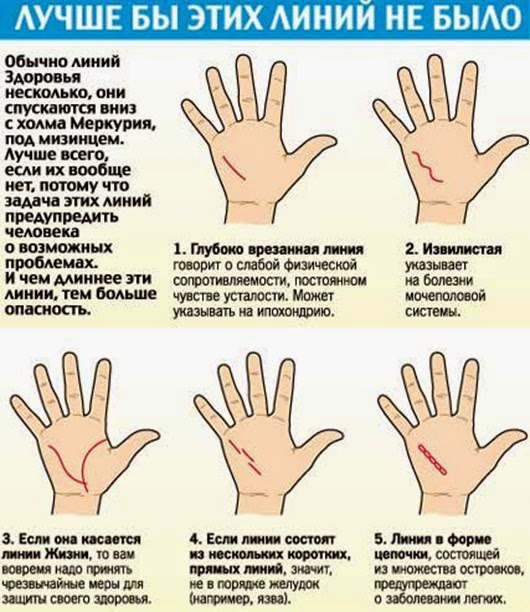 Как определить болезни по ладони.Как часто вы обращаете внимание на свои ладони? И знаете ли о том, ...