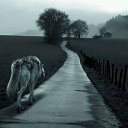 ���� ������, �����-���������, 50 ��� - ��������� 18 ������ 2015 � ������ ������ ��������